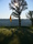 Stone Creek Golf Club - Hole 11
