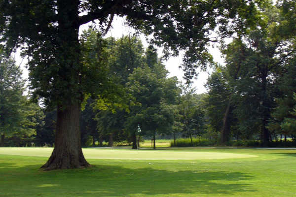 Oak Terrace Resort in Pana - hole 11