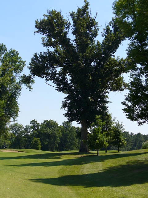 Hickory Ridge - hole #18 and Mutombo
