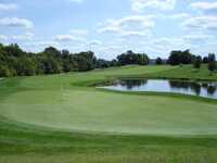 Piper Glen