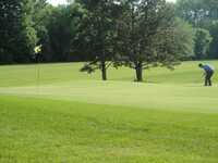 Village Green CC: putting area