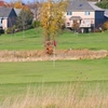 A view of green at Redtail Golf Club