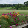 A view from the clubhouse terrace at Cantigny Golf