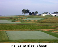 Black Sheep Course