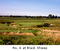 Black Sheep Course