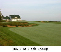 Black Sheep Course