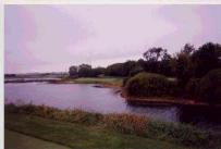 Mistwood golf course