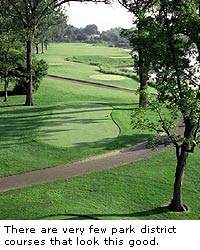 Orchard Valley