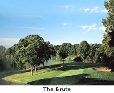 The Brute