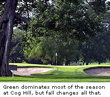 Cog Hill