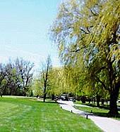 Lincolnshire Marriott Resort Golf Club