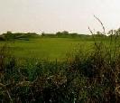 Hole no. 3